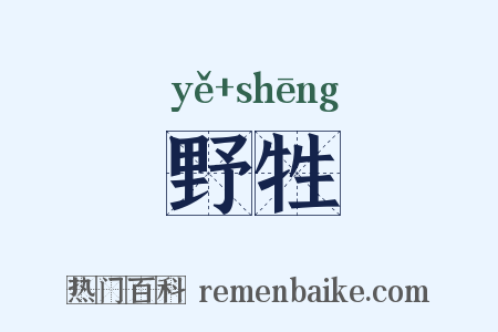 野牲是什么意思的图片
